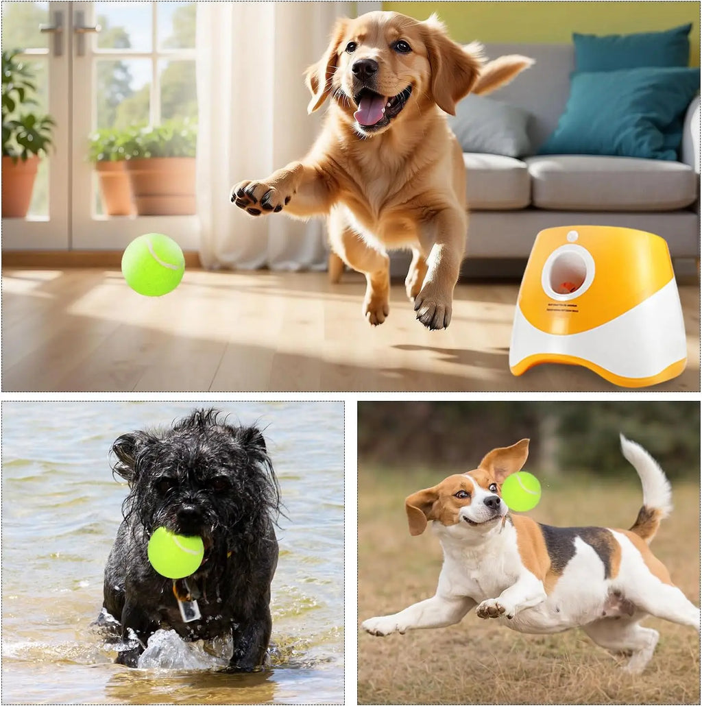 AutoFetch Pro — Automatic Dog Ball Launcher