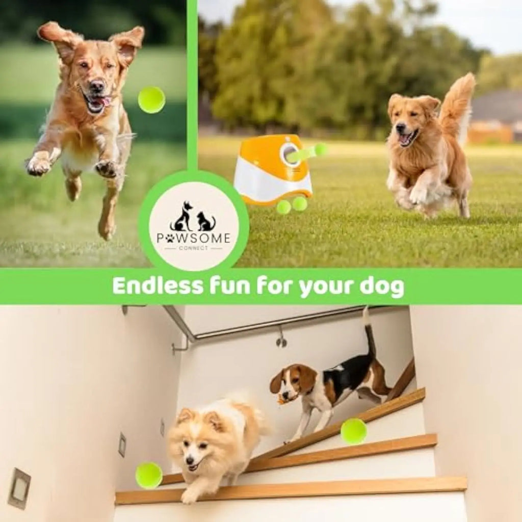 AutoFetch Pro — Automatic Dog Ball Launcher