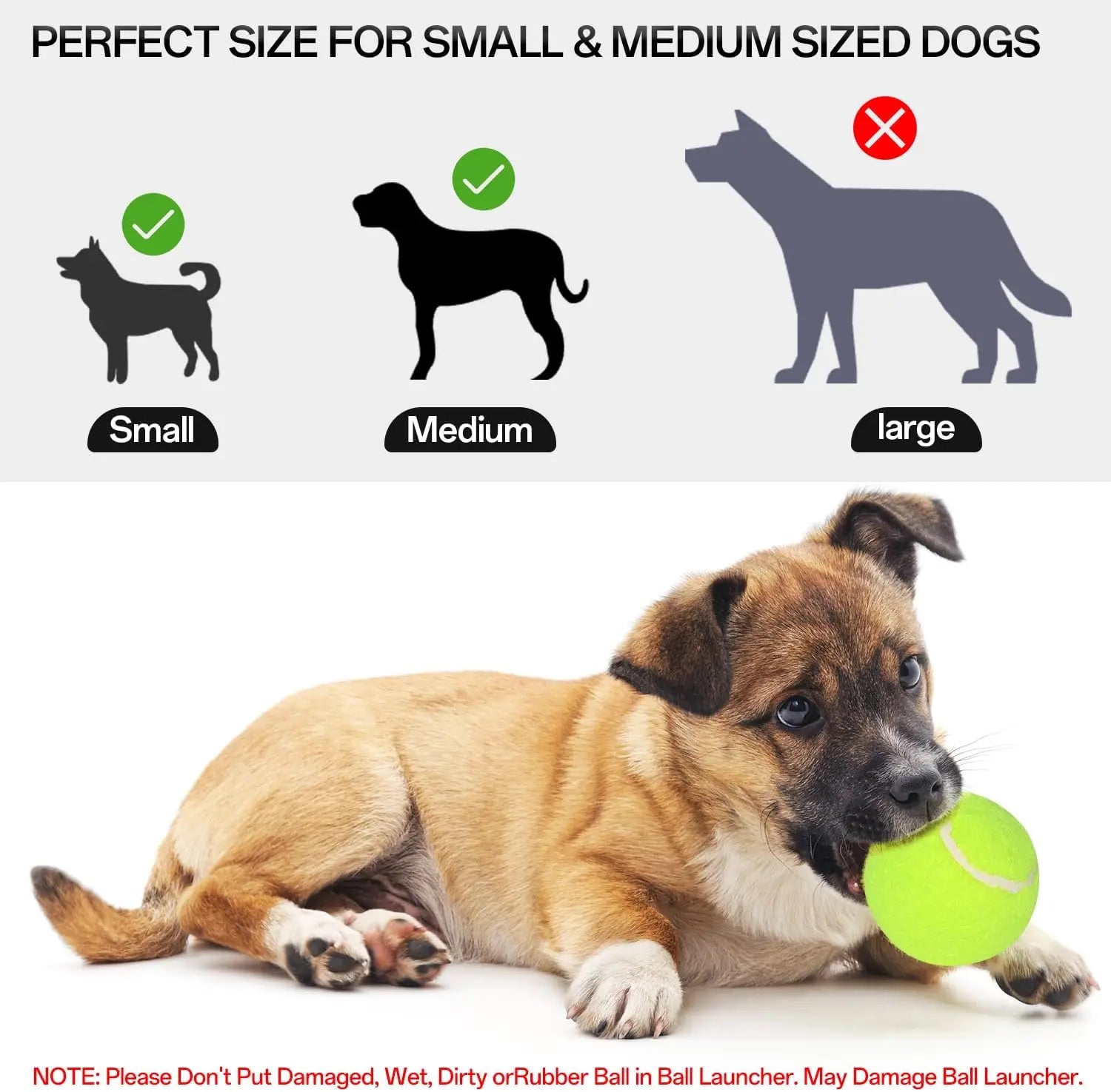 AutoFetch Pro — Automatic Dog Ball Launcher