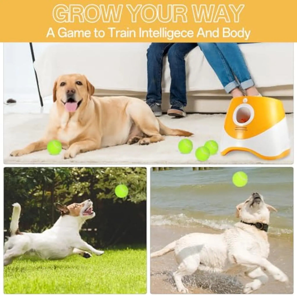 AutoFetch Pro — Automatic Dog Ball Launcher
